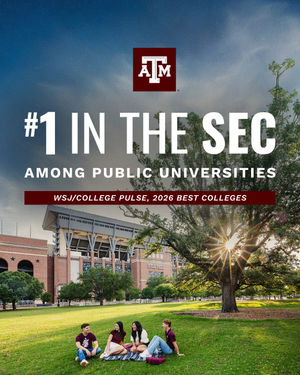 Image post by @tamu on Instagram