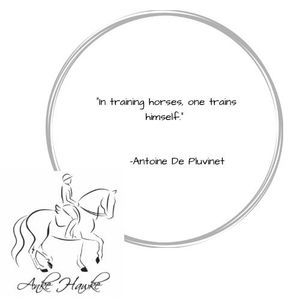 Image post by @ankehawke on Instagram