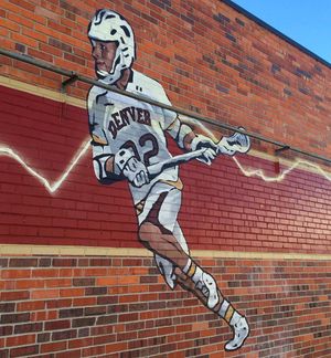 Image post by @warriorlax on Instagram