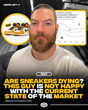 Image post by @insanesneaker on Instagram