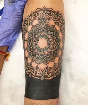 Image post by @austinhealyaries on Instagram