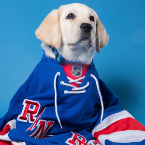 Image post by @nyrangers on Instagram