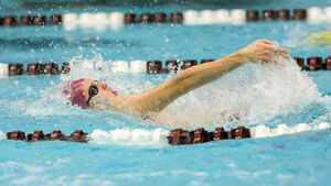 Image post by @AggieSwimDive on Twitter