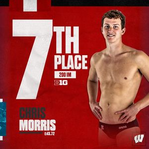 Image post by @badgerswimdive on Instagram