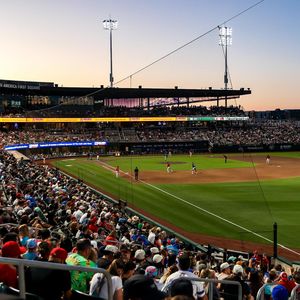 Image post by @saltlakebees on Instagram