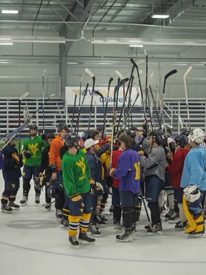 Image post by @wvuhockeyd2 on Instagram