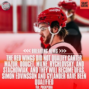 Image post by @redwingscoverage on Instagram