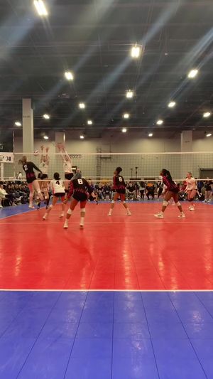 Video post by @simbavolleyball on TikTok