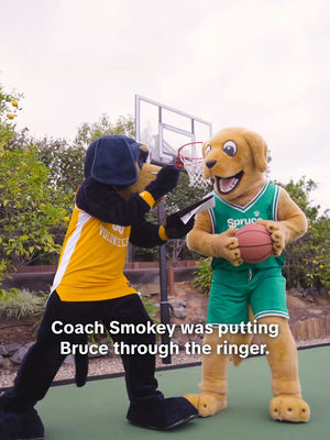 Video post by @vol_sports on TikTok