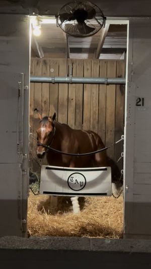 Video post by @AmericasBestRacing on Facebook