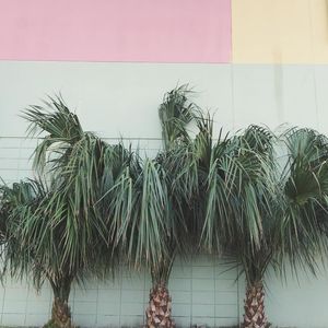 Image post by @creative_moxie on Instagram