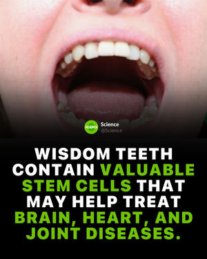 Image post by @science on Instagram