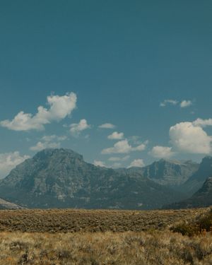 Image post by @thelensdaddy on Instagram