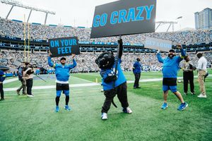 Image post by @sirpurr on Instagram