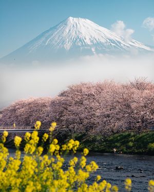 Image post by @sonyalpha on Instagram