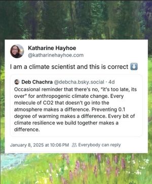 Image post by @greenpeace on Instagram