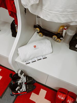 Image post by @swissicehockeywomen on Instagram