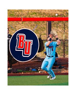 Image post by @mveldmanphoto on Instagram