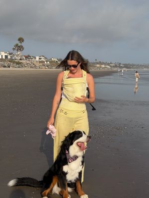 Image post by @madeleinecwhite on Instagram