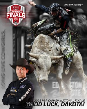 Image post by @energydodge on Instagram