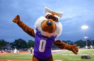 Image post by @kwucoyotes on Instagram