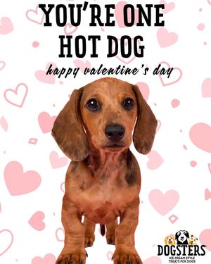 Image post by @dogstersicecream on Instagram