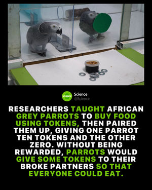 Image post by @science on Instagram