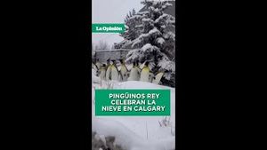 Video post by @laopinionla on YouTube