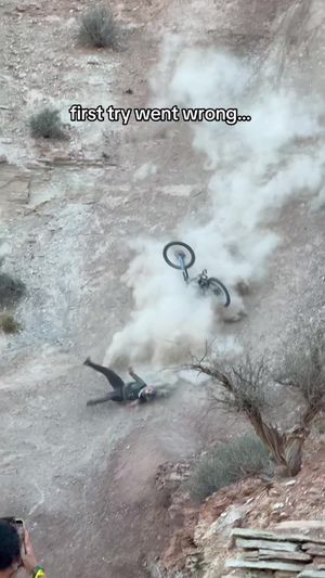 Video post by @redbullbike on TikTok