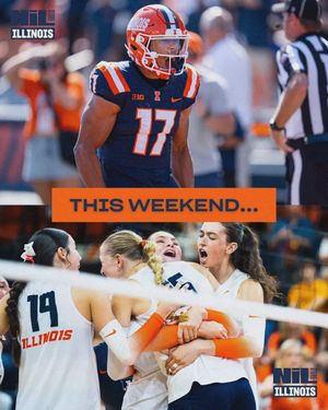 Image post by @illinois.nil.store on Instagram