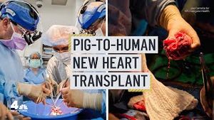Video post by @nbcnewyork on YouTube
