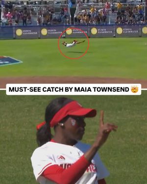 Image post by @ncaasoftball on Instagram