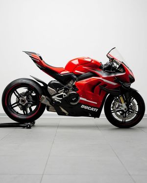 Image post by @panigalers on Instagram