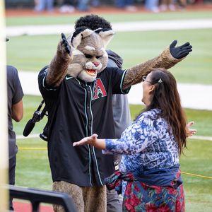 Image post by @DbacksBaxter on Twitter