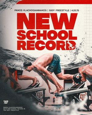 Image post by @uiwswimanddive on Instagram