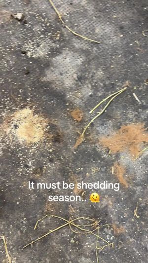 Video post by @kate.cassaidy on TikTok