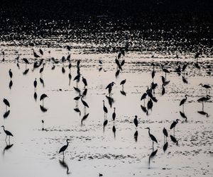 Image post by @natgeo on Instagram