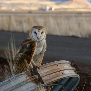 Image post by @nationalparkservice on Instagram