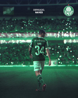 Image post by @palmeiras on Instagram