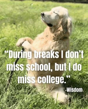 Image post by @barstoolokstate on Instagram