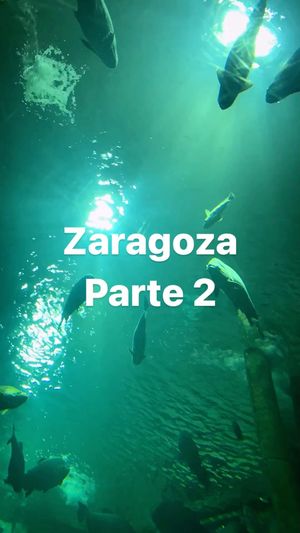 Video post by @aqualupi on Instagram