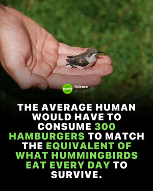Image post by @science on Instagram
