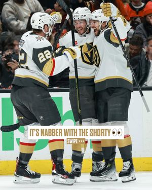 Image post by @vegasgoldenknights on Instagram