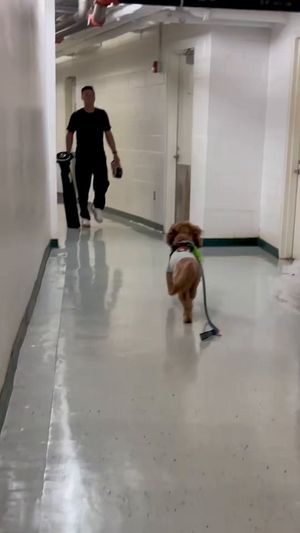 Video post by @SOMPatriots on Twitter