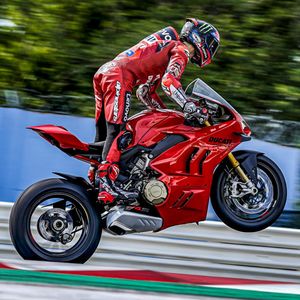 Image post by @panigalers on Instagram