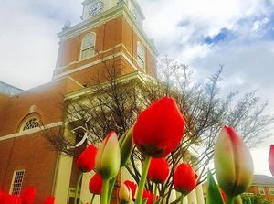 Image post by @wfuniversity on Instagram