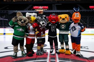 Image post by @iowawild on Instagram