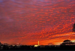 Image post by @popville on Instagram