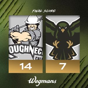 Image post by @rocknighthawks on Instagram