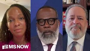 Video post by @msnbc on YouTube